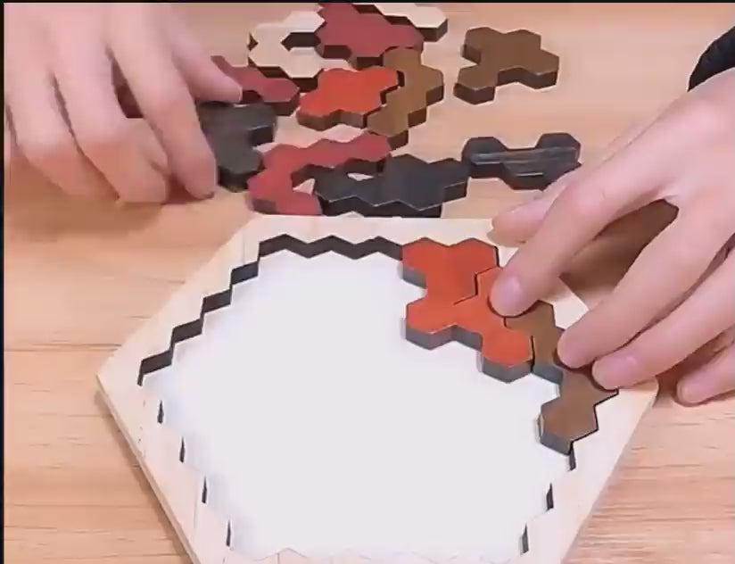 Todfod Wooden Puzzle Pack of 2